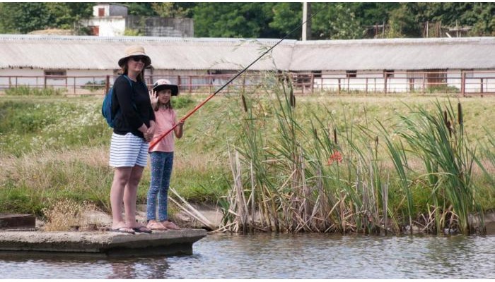 Pensiunea Tara Fagilor poza 8