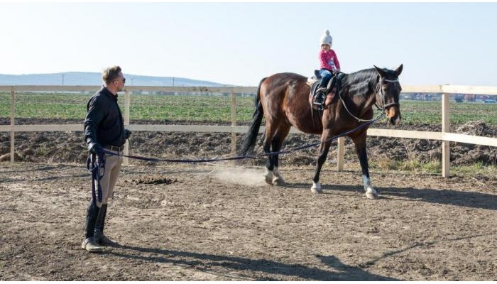 Pensiunea Tara Fagilor poza 10