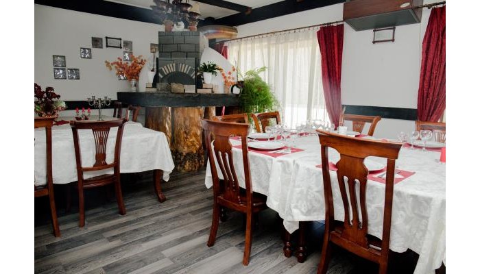 Hotel Casa Octavian poza 9