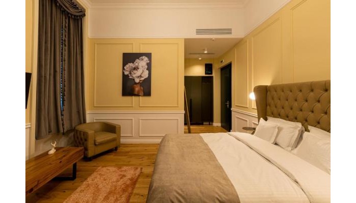 Poza pentru Boutique Hotel Cocosul De Aur 2282-1672317748 Boutique Hotel Cocosul De Aur poza 8