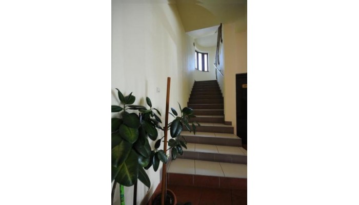 Hotel Everest poza 12