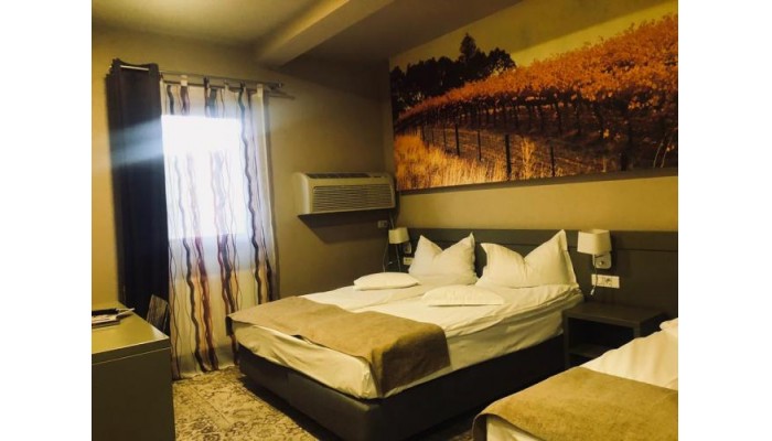 Hotel Sarea-n Bucate poza 0