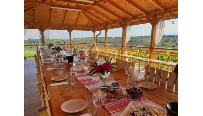 Hotel Sarea-n Bucate poza 1