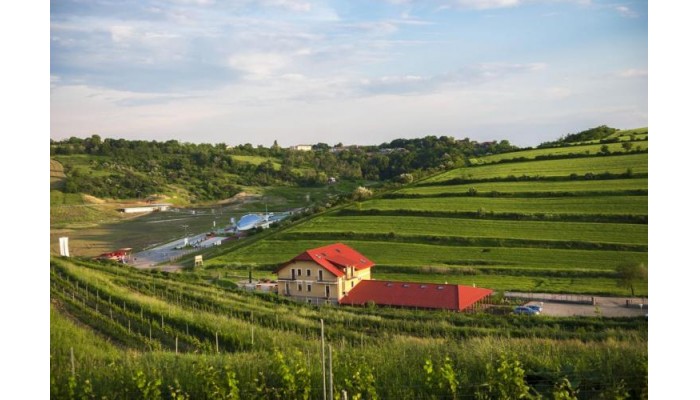 Hotel Sarea-n Bucate poza 7