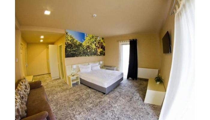 Pensiunea Sarea-n Bucate (Crama La Salina) poza 6