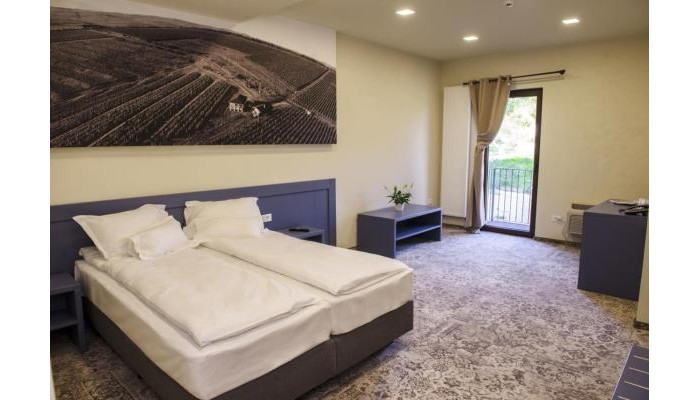 Pensiunea Sarea-n Bucate (Crama La Salina) poza 7