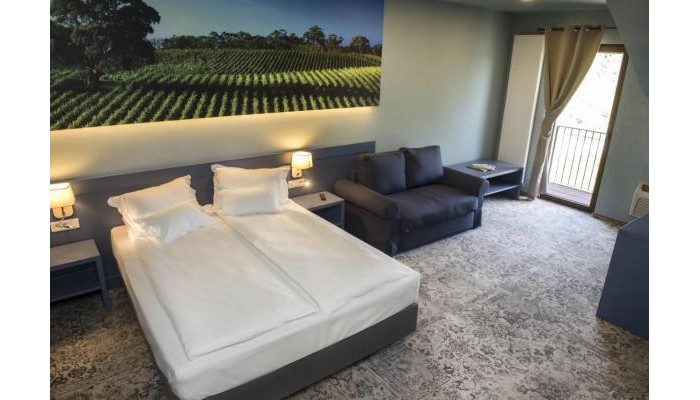 Pensiunea Sarea-n Bucate (Crama La Salina) poza 5