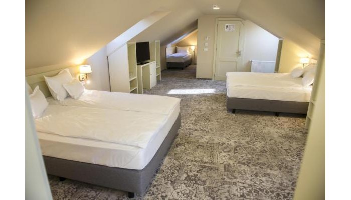 Pensiunea Sarea-n Bucate (Crama La Salina) poza 8