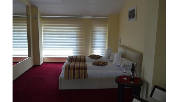 Salis Hotel & Medical Spa poza 9