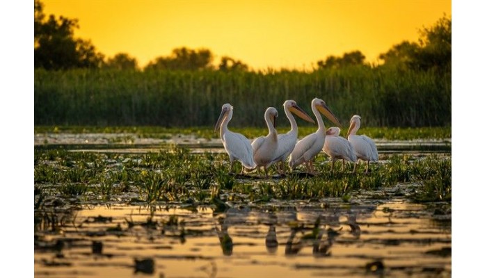 Gulliver Delta Resort poza 2