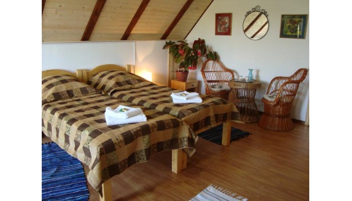 Hotel Casa Dintre Salcii poza 13