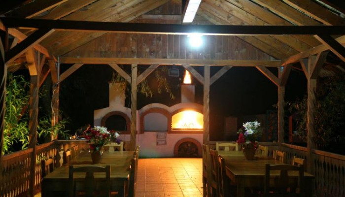 Hotel Casa Dintre Salcii poza 2