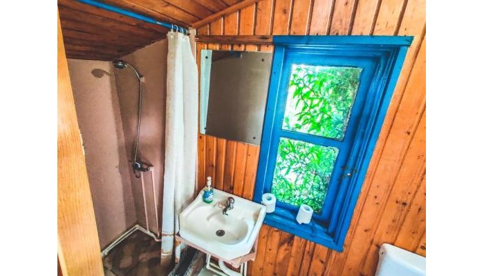 Hotel Pura Vida Beach Hostel poza 6