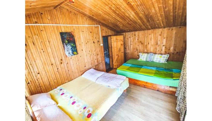 Hotel Pura Vida Beach Hostel poza 7