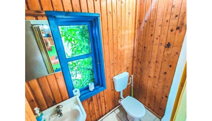 Hotel Pura Vida Beach Hostel poza 10