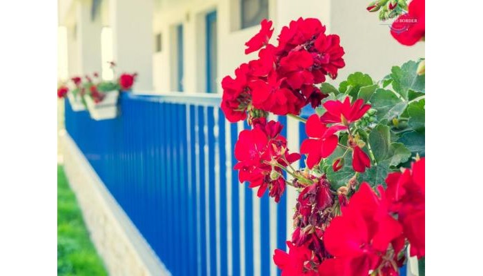 Poza pentru Hotel The Old Border 5176-1724237090 Hotel The Old Border poza 14