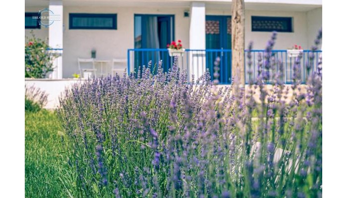 Poza pentru Hotel The Old Border 94-1724237046 Hotel The Old Border poza 1