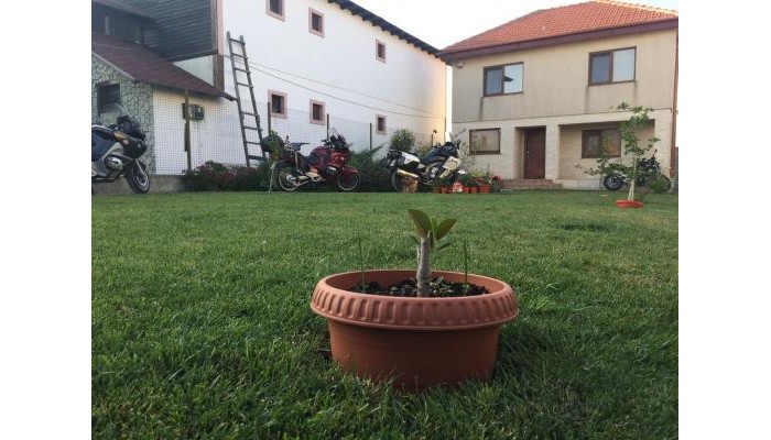 Poza pentru Pensiunea Casa Noastra 3452-1605192800 Pensiunea Casa Noastra poza 1