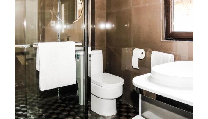 Hotel Alpine Lounge poza 6