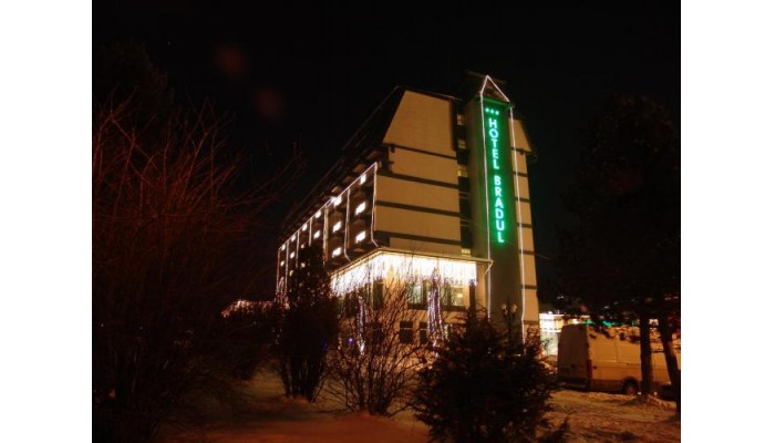 Hotel Bradul poza 6