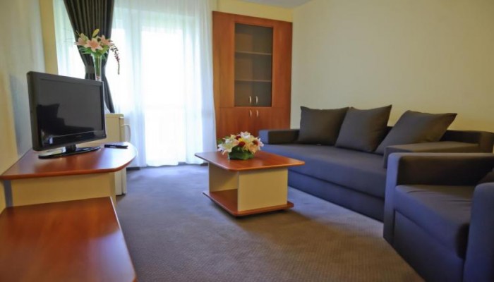 Hotel Bradul poza 2