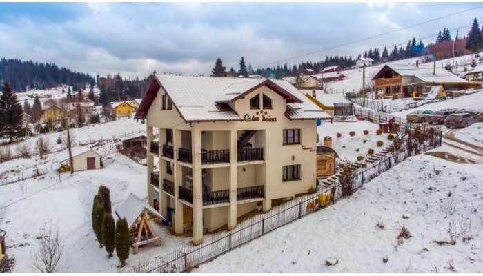 Hotel Casa Doina poza 0