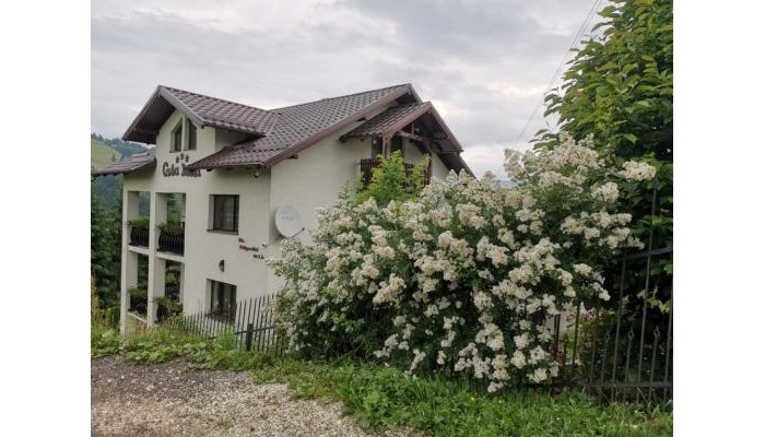 Hotel Casa Doina poza 1