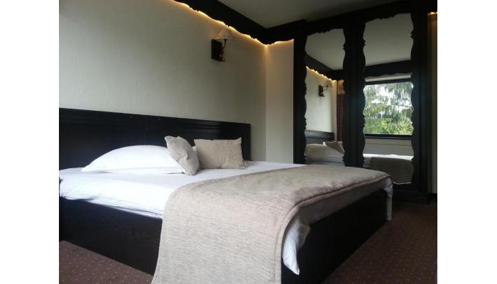 Hotel Domeniul Dornei poza 4