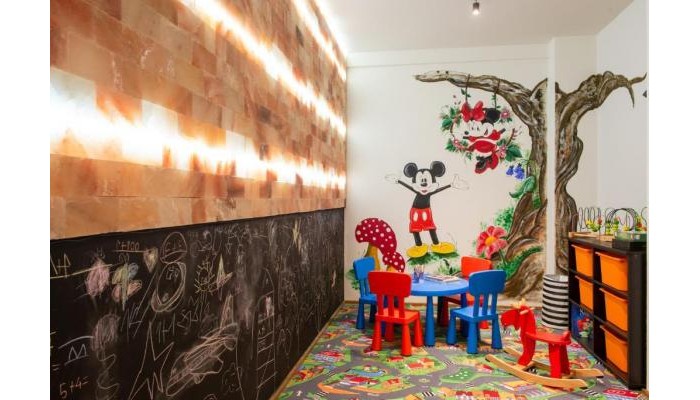 Kaban Boutique Hotel Vatra Dornei poza 10