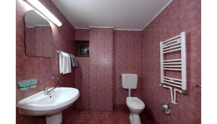 Pensiunea Dana poza 4