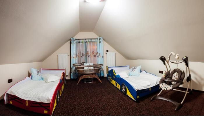 Pensiunea Ellemar poza 21