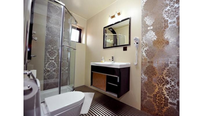 Pensiunea Ellemar poza 29