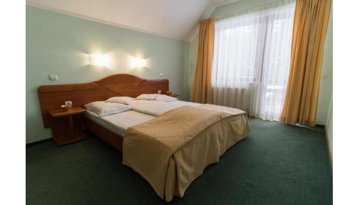 Pensiunea Vanatorul poza 8