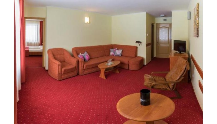 Pensiunea Vanatorul poza 3