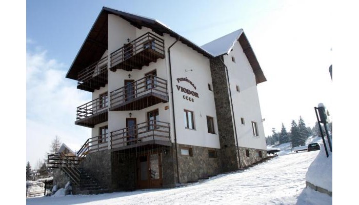 Pensiunea Viodor poza 3