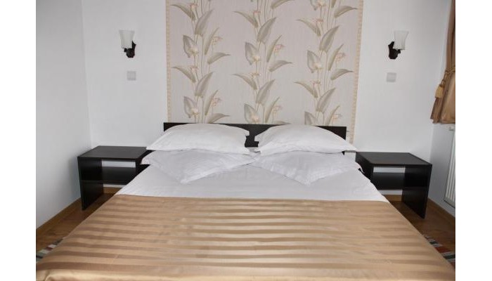 Pensiunea Viodor poza 11