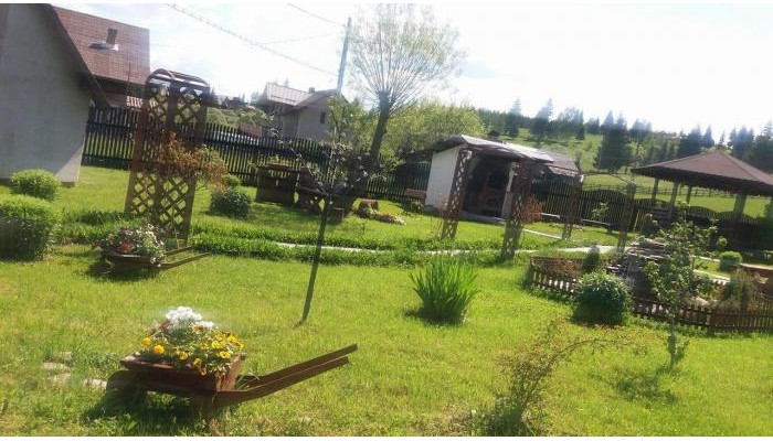 Pensiunea Viodor poza 18