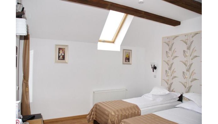 Pensiunea Viodor poza 4