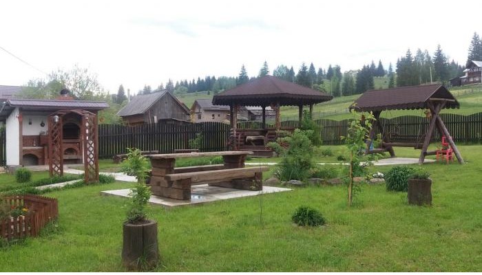 Pensiunea Viodor poza 22