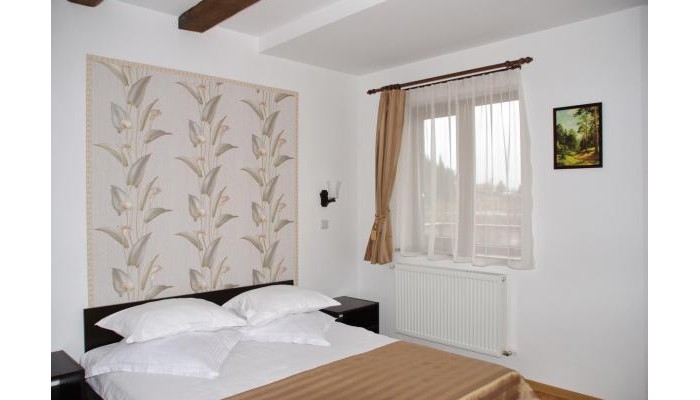 Pensiunea Viodor poza 9