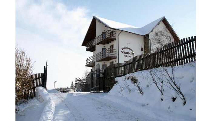 Pensiunea Viodor poza 0