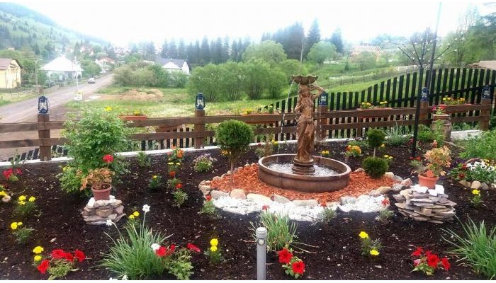 Pensiunea Viodor poza 17