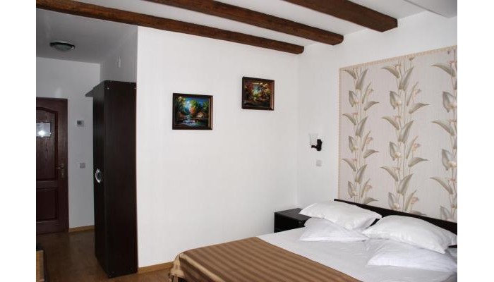 Pensiunea Viodor poza 10