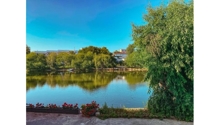 Hotel Del Mar (Fost Vulturul) poza 4