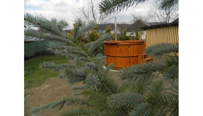 Hotel Casa Eli poza 32