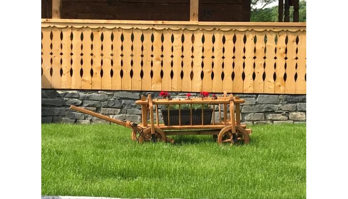 Hotel Casa Eli poza 4