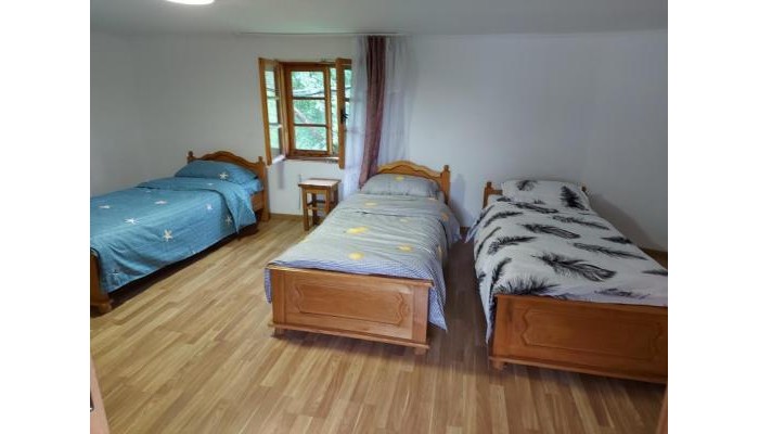 Pensiunea Boca Voronet poza 1