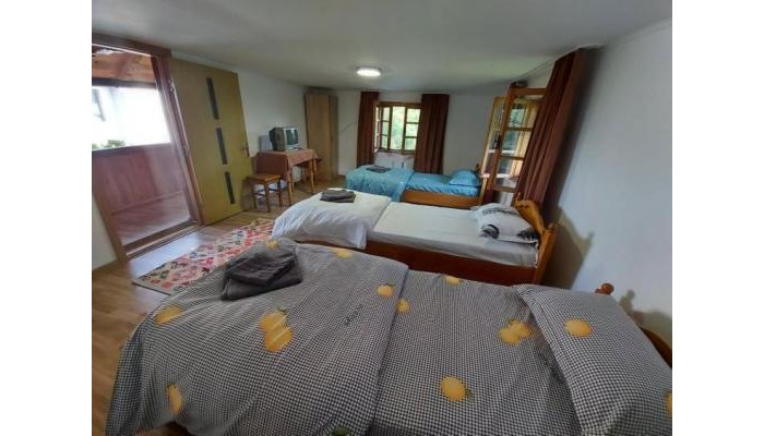 Pensiunea Boca Voronet poza 2